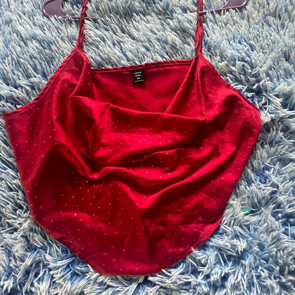Ruby, Red Crop Top